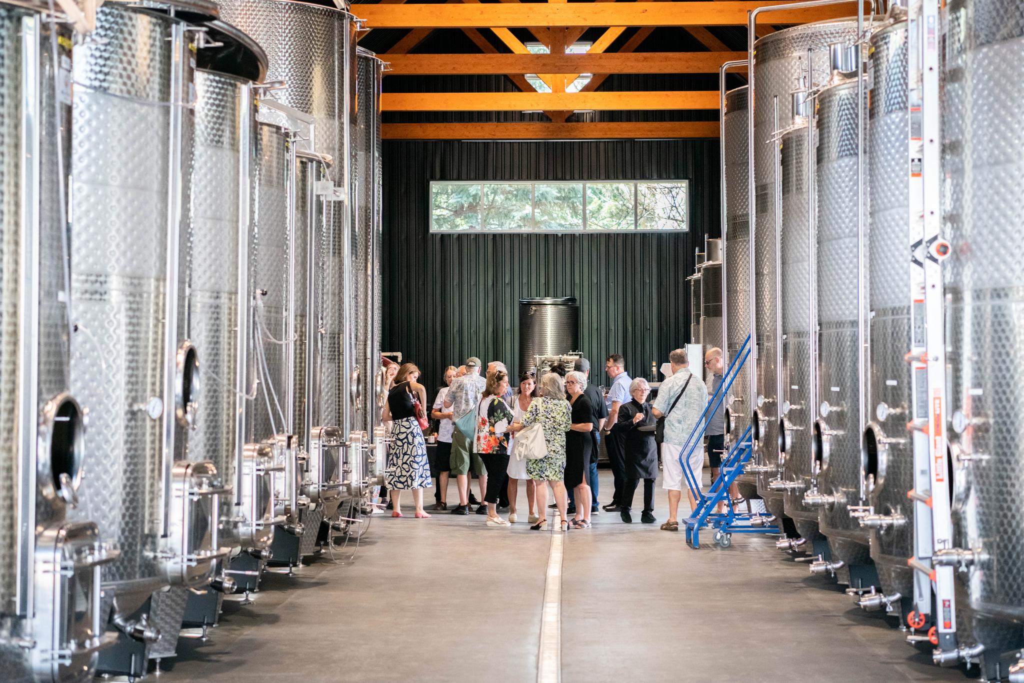 Visite de la salle des cuves