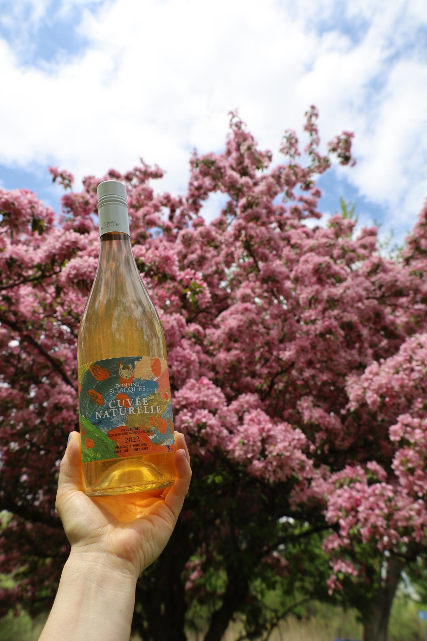 Bouteille de Cuvée naturelle devant un cerisier en fleur
